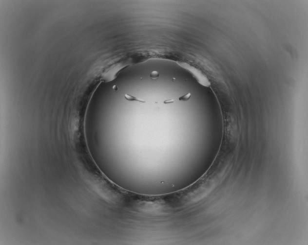 X0000112370548200908131520
