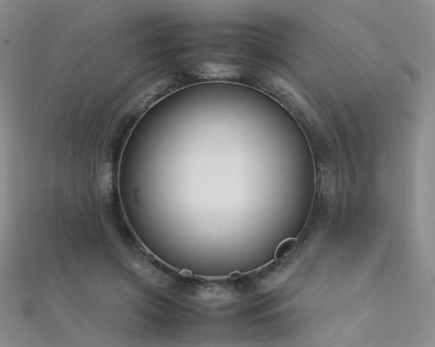 X0000112370549200908131520