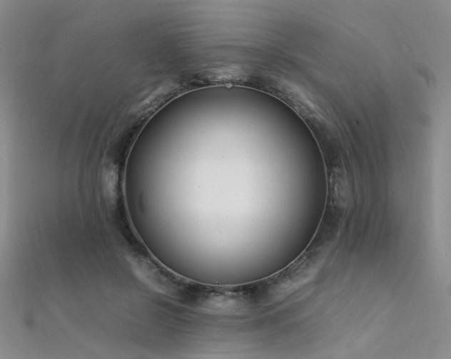 X0000112370550200908131520