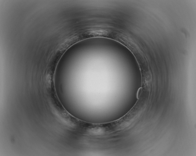 X0000112370551200908131520