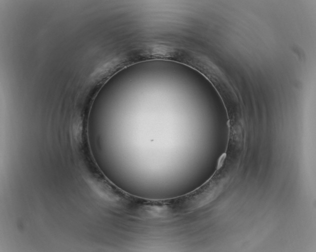 X0000112370552200908131520