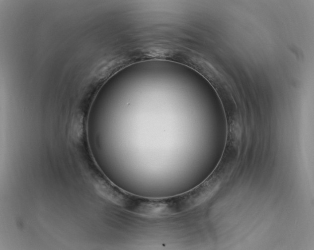 X0000112370554200908131520
