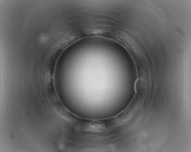 X0000112370555200908131520