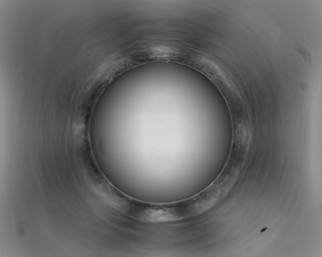 X0000112370557200908131520
