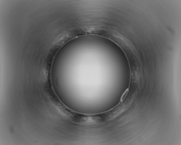 X0000112370558200908131520