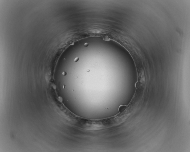 X0000112370559200908131520
