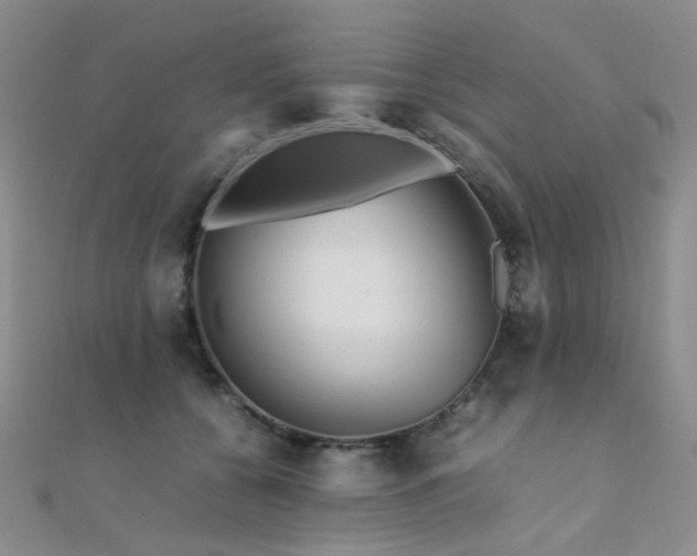 X0000112370560200908131520