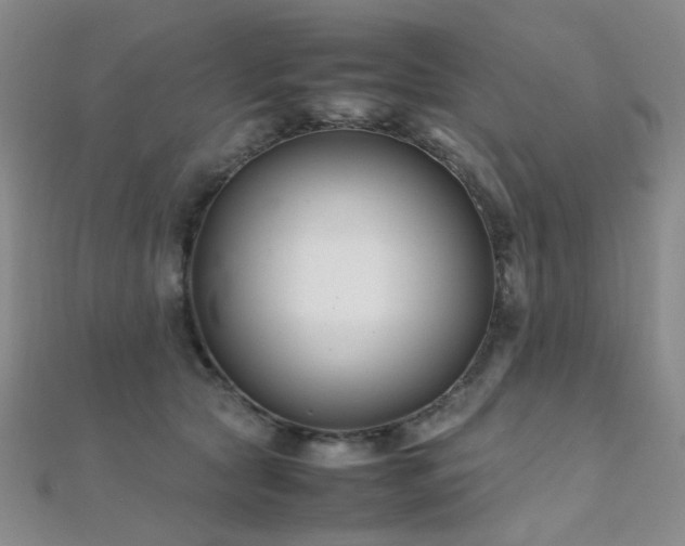 X0000112370561200908131520