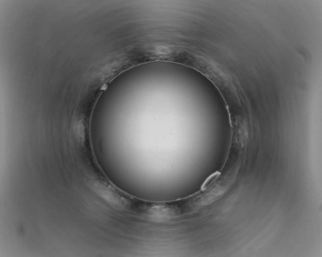 X0000112370562200908131520