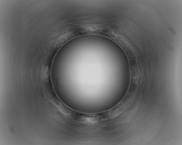 X0000112370563200908131520