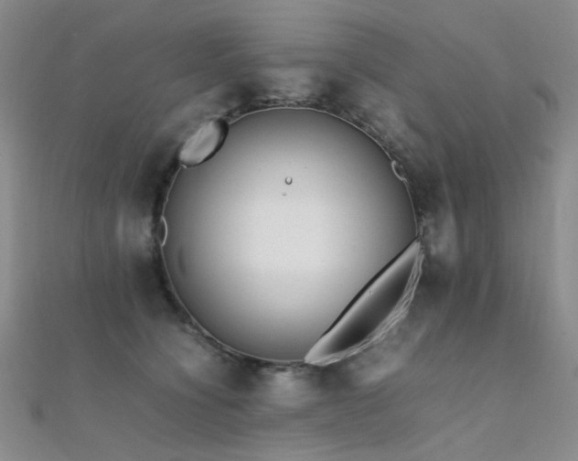 X0000112370564200908131520