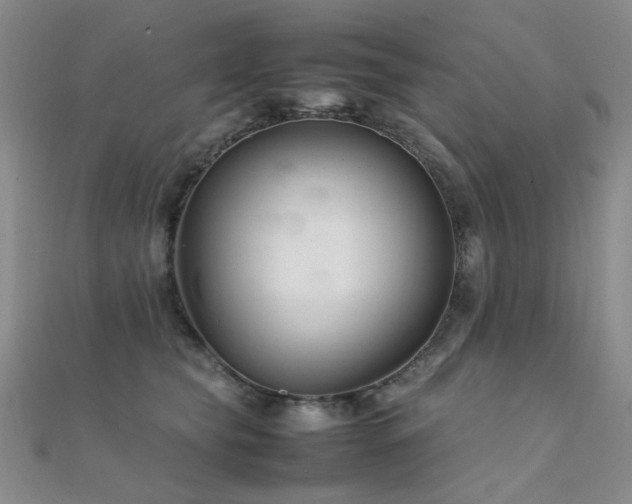 X0000112370565200908131520