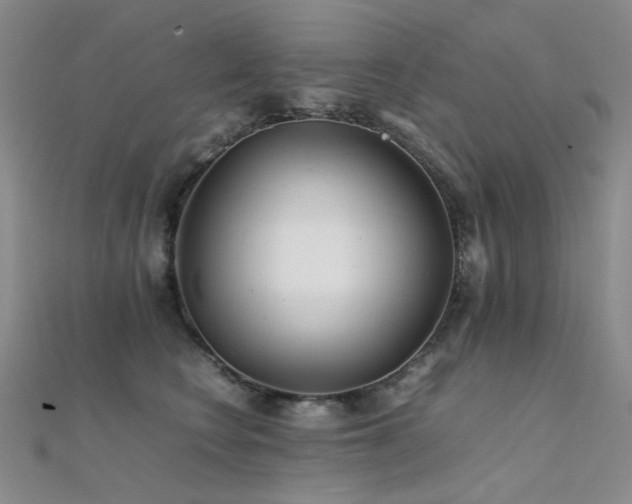 X0000112370566200908131520