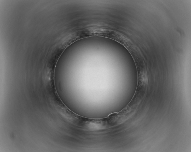 X0000112370567200908131520