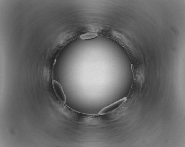 X0000112370568200908131520