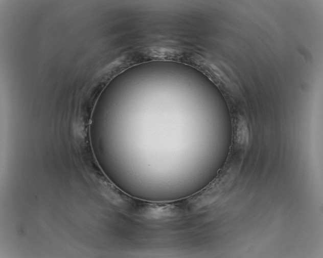 X0000112370569200908131520