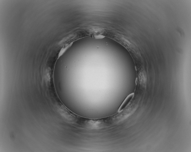 X0000112370570200908131520