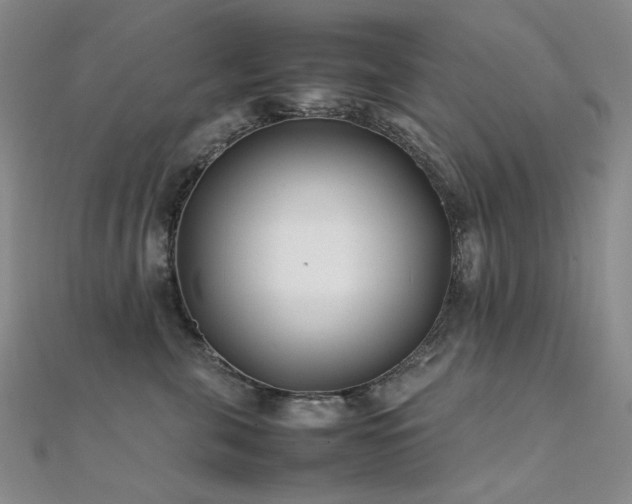 X0000112370571200908131520