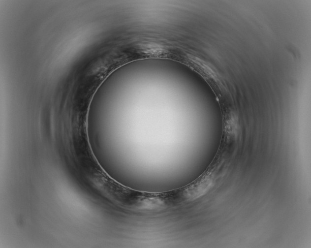 X0000112370572200908131520