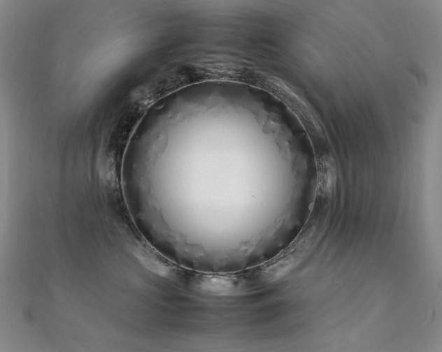 X0000112370573200908131520