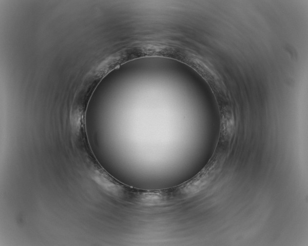 X0000112370574200908131520