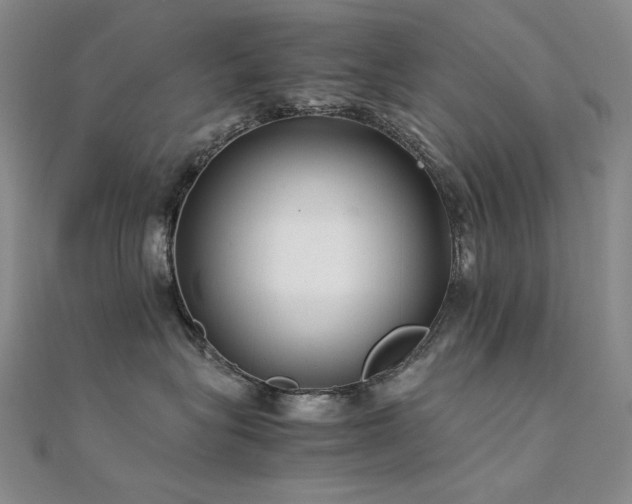 X0000112370575200908131520