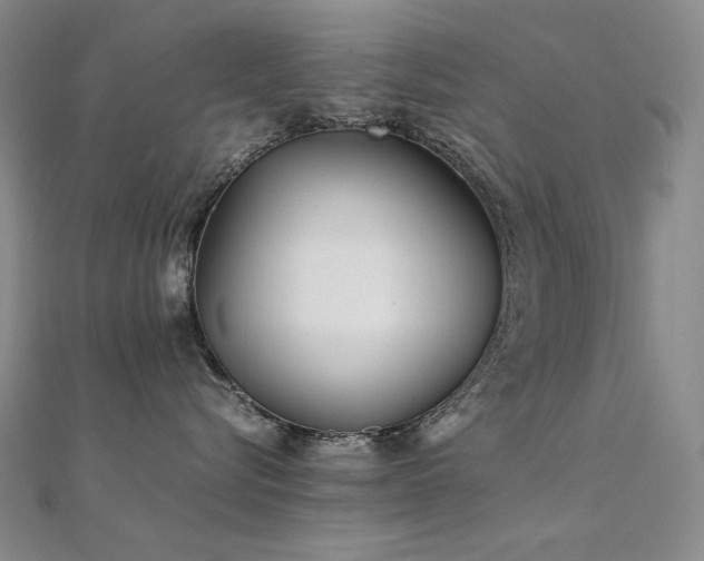 X0000112370576200908131520