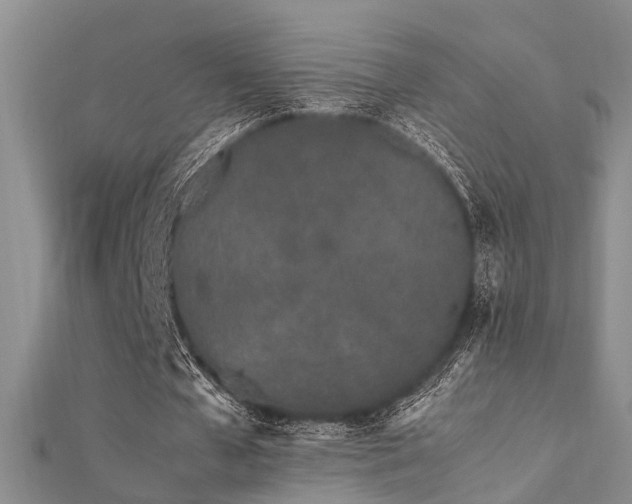 X0000112370577200908131519