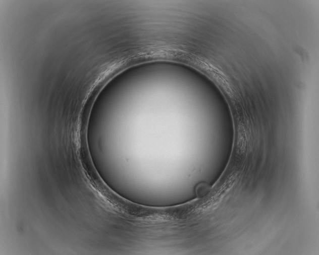 X0000112370578200908131519