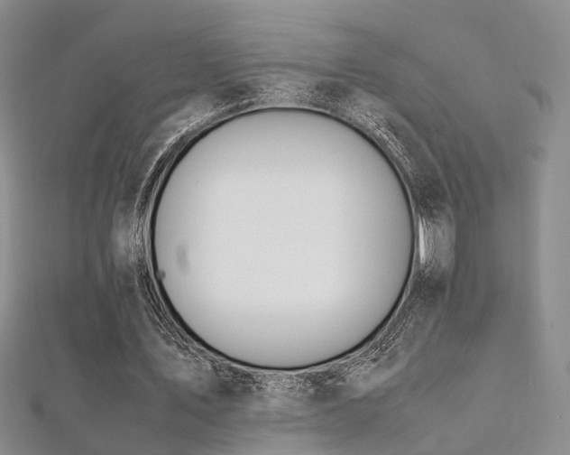 X0000112370579200908131519