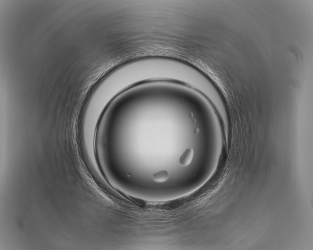 X0000112370581200908131519