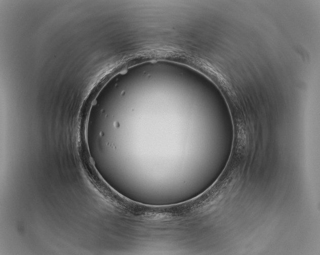 X0000112370582200908131519