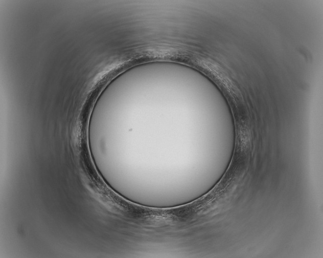 X0000112370583200908131519