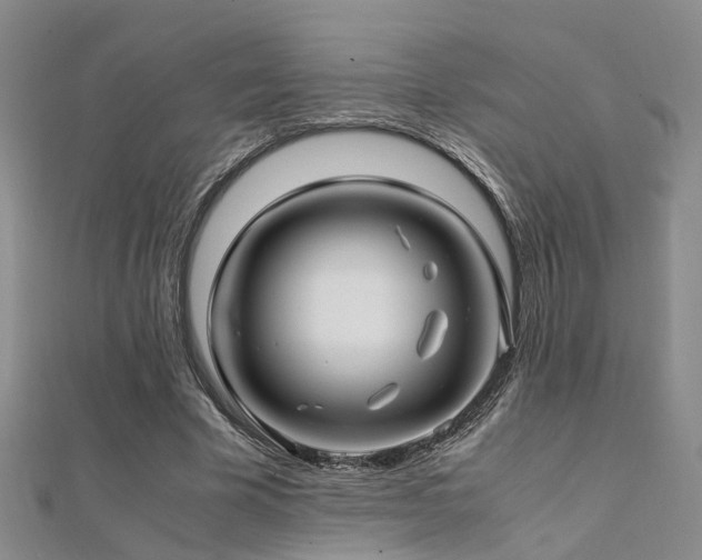 X0000112370585200908131519