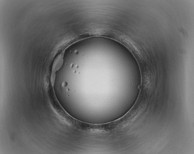 X0000112370586200908131519