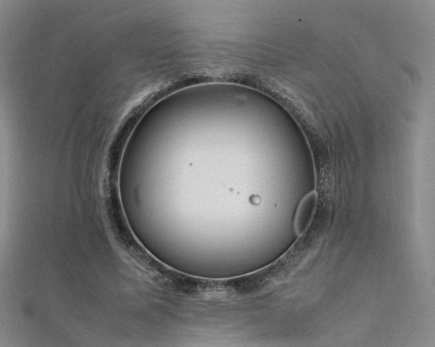 X0000112370587200908131519