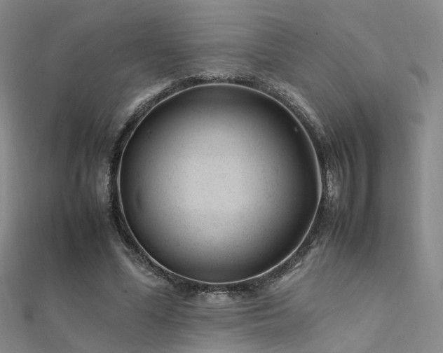 X0000112370588200908131519