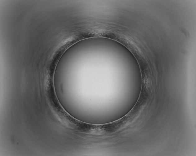 X0000112370591200908131519