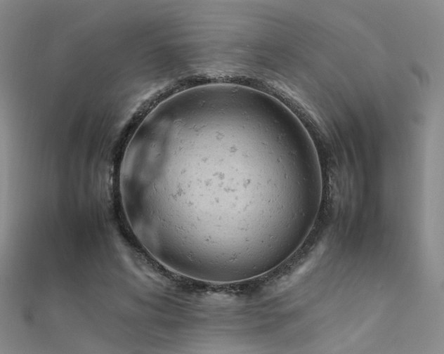 X0000112370592200908131519