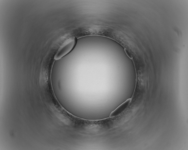 X0000112370593200908131519
