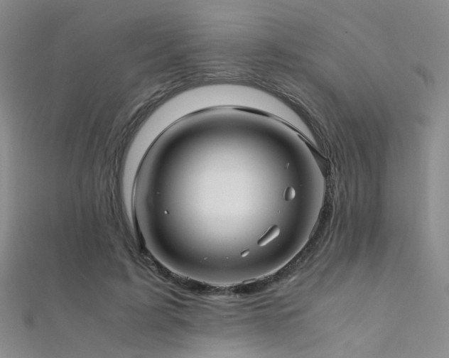 X0000112370595200908131519