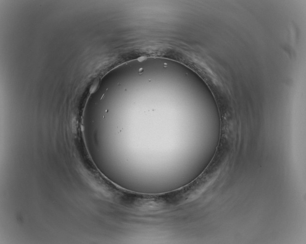 X0000112370597200908131519