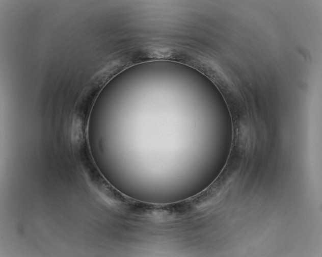 X0000112370598200908131519