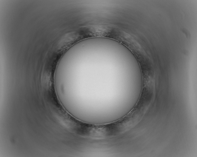 X0000112370599200908131519