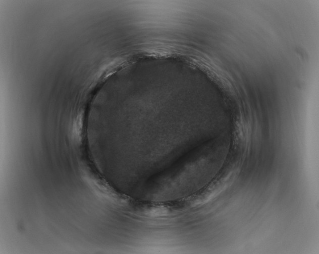 X0000112370600200908131519