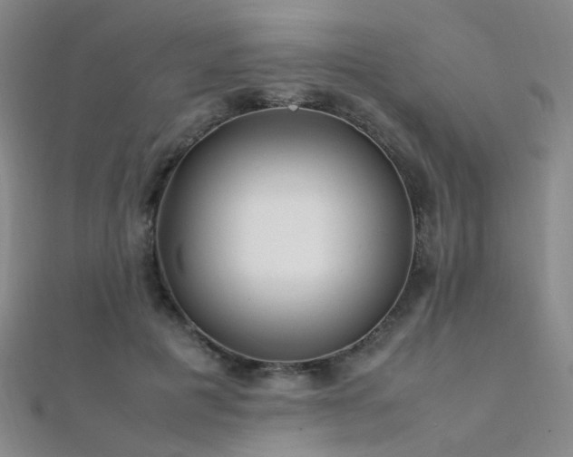 X0000112370601200908131519