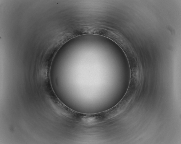 X0000112370602200908131519