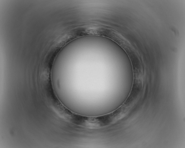X0000112370603200908131519