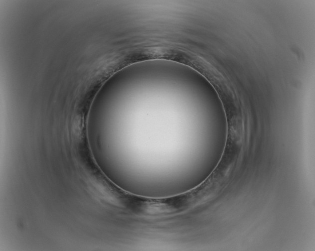 X0000112370605200908131519