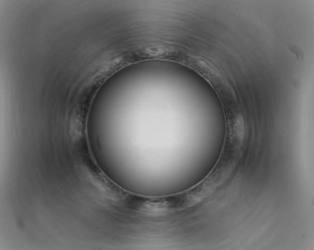 X0000112370606200908131519